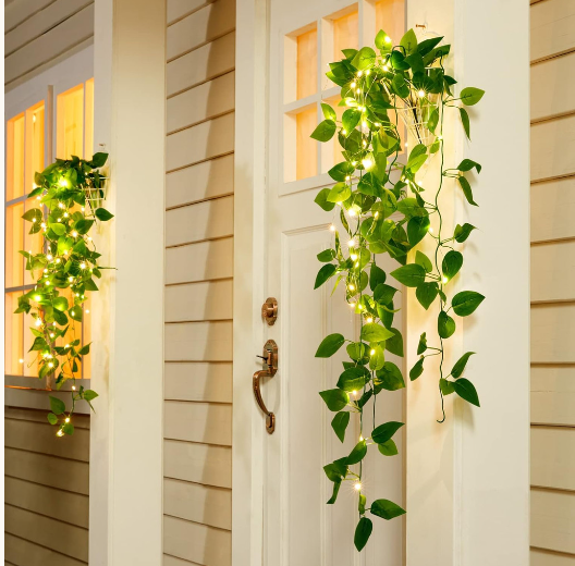 Illuminated ivy-rank